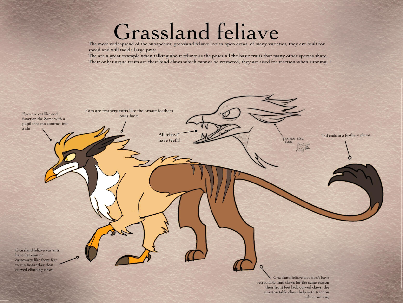 Grassland subspecies