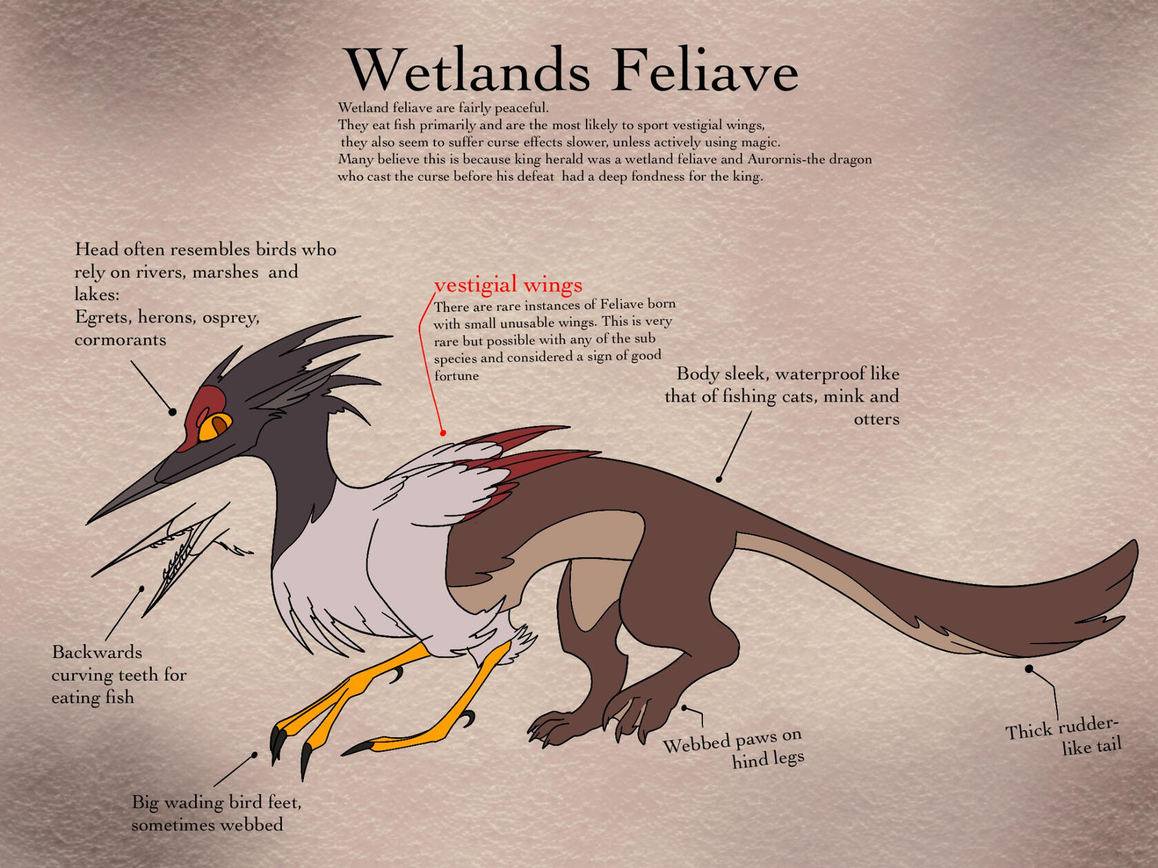Wetlands subspecies
