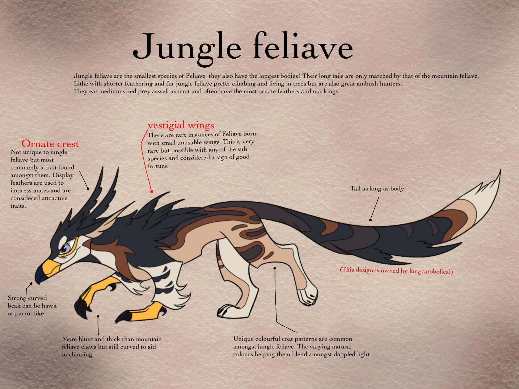 Jungle subspecies