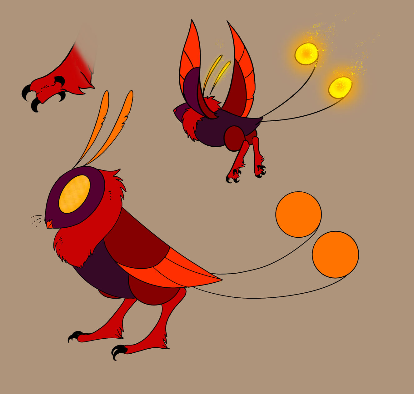 Firebyrd wild type