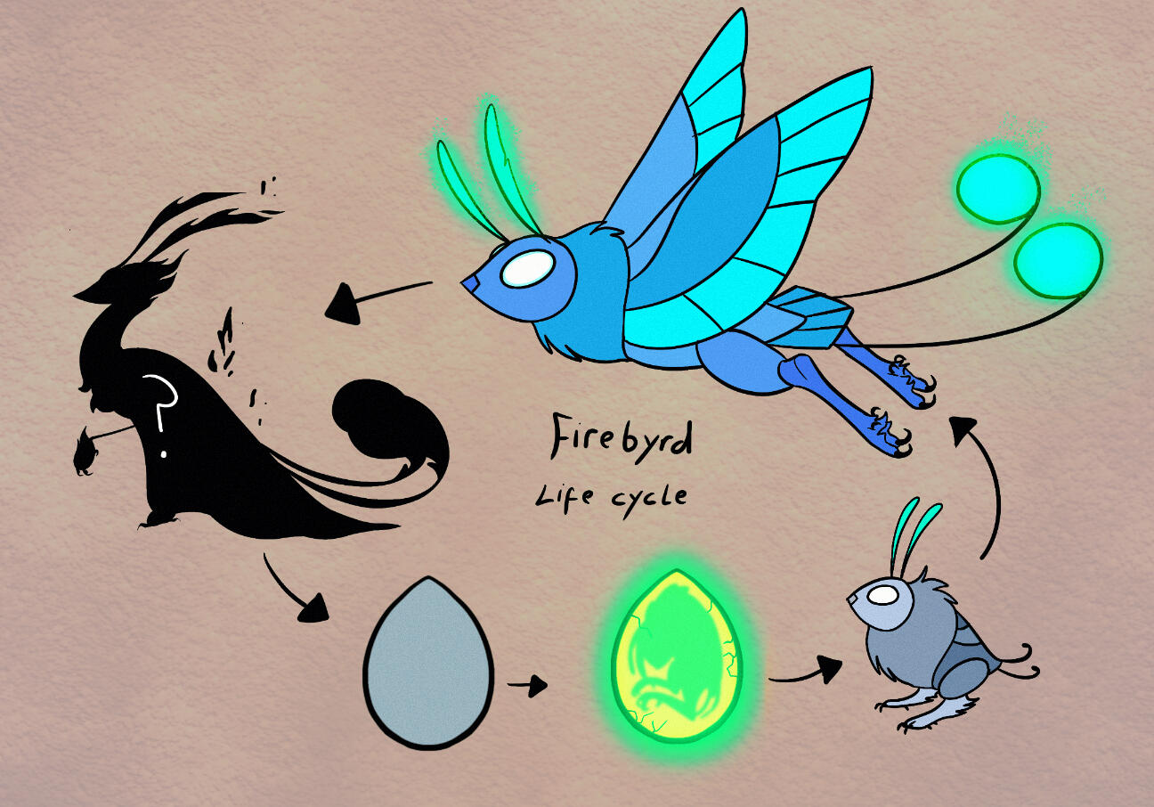 Firebyrd life cycle