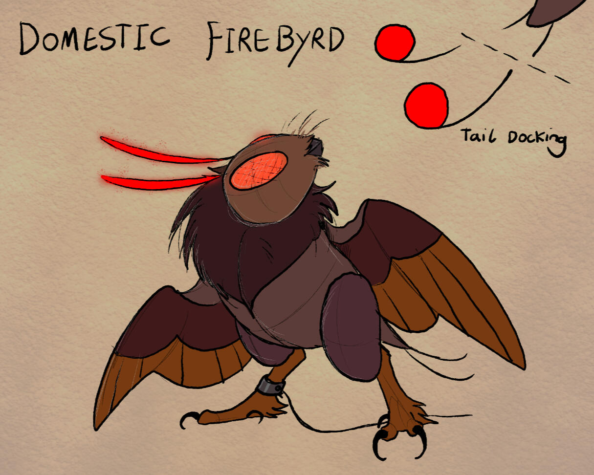 Firebyrd life cycle